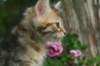 img_6647_small.jpg