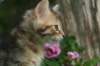img_6648_small.jpg