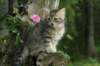 img_6652_small.jpg