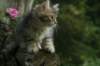 img_6661_small.jpg