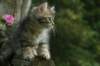 img_6662_small.jpg