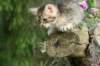 img_6666_small.jpg