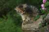 img_6677_small.jpg