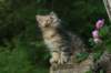 img_6678_small.jpg