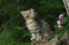 img_6680_small.jpg