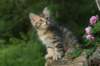 img_6685_small.jpg