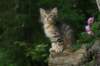 img_6688_small.jpg