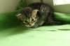 img_3175_small.jpg