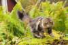 joyimg_2373_small.jpg