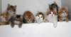 together2272020_small.jpg