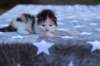 edengirlsibf022110_small.jpg