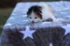 edengirlsibf022112_small.jpg