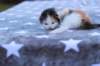 edengirlsibf02218_small.jpg