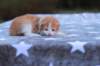 emmanuelboyd0324234_small.jpg