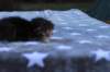 ephratahgirlsibf2211_small.jpg