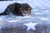 ephratahgirlsibf222_small.jpg