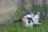 eden115weeks2775_small.jpg