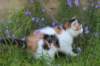 eden115weeks2776_small.jpg