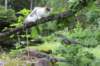 eden125viikkoa20_small.jpg
