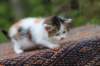 eden4weeks56102_small.jpg