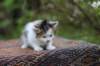 eden4weeks56103_small.jpg