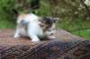 eden4weeks56115_small.jpg