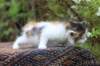 eden4weeks56121_small.jpg