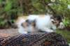 eden4weeks56123_small.jpg