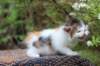 eden4weeks56125_small.jpg