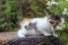 eden4weeks56128_small.jpg