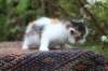 eden4weeks56133_small.jpg