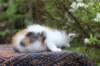 eden4weeks56139_small.jpg