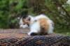 eden4weeks56143_small.jpg
