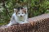 eden4weeks5667_small.jpg