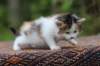 eden4weeks5674_small.jpg