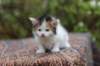 eden4weeks5691_small.jpg