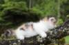 edengirl4weeks5610_small.jpg