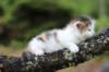 edengirl4weeks5611_small.jpg