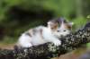 edengirl4weeks5612_small.jpg