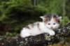 edengirl4weeks5613_small.jpg