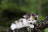 edengirl4weeks5614_small.jpg