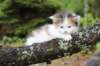 edengirl4weeks5616_small.jpg