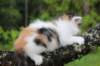 edengirl4weeks5620_small.jpg