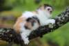 edengirl4weeks5621_small.jpg