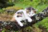 edengirl4weeks5623_small.jpg