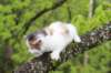 edengirl4weeks5625_small.jpg