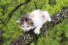 edengirl4weeks5627_small.jpg
