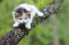 edengirl4weeks5629_small.jpg