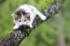 edengirl4weeks5630_small.jpg