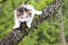 edengirl4weeks5631_small.jpg